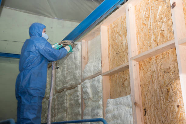 Best Spray Foam Insulation  in Center Moriches, NY