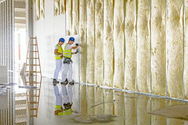 Best Insulation Inspection Services  in Center Moriches, NY